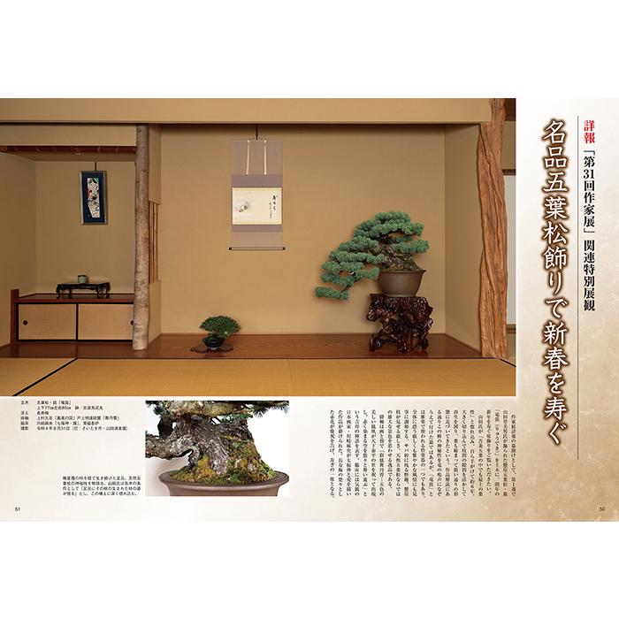 月刊「近代盆栽」2023年2月号 初心者からベテラン愛好家まで、見やすく