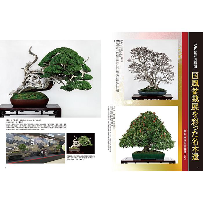 月刊「近代盆栽」2023年5月号 初心者からベテラン愛好家まで
