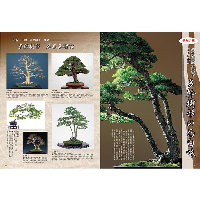 月刊「近代盆栽」2023年8月号 初心者からベテラン愛好家まで