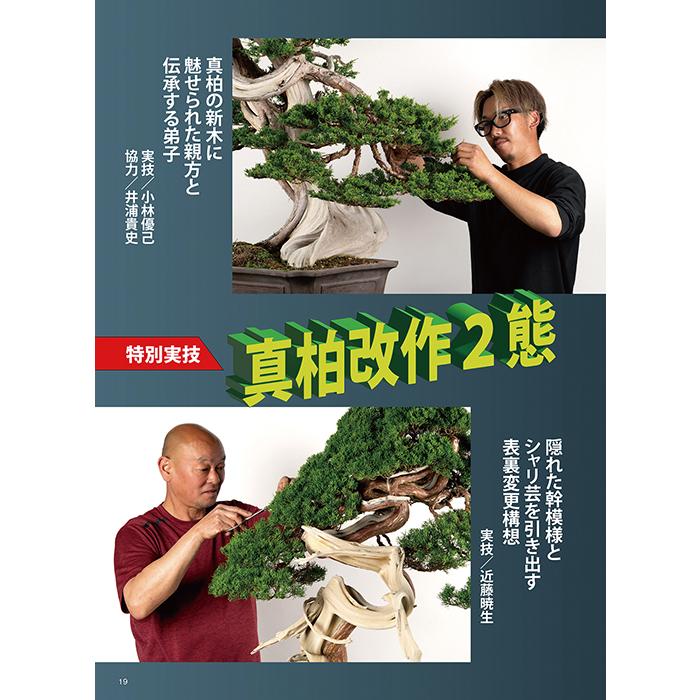 月刊「近代盆栽」2023年8月号 初心者からベテラン愛好家まで