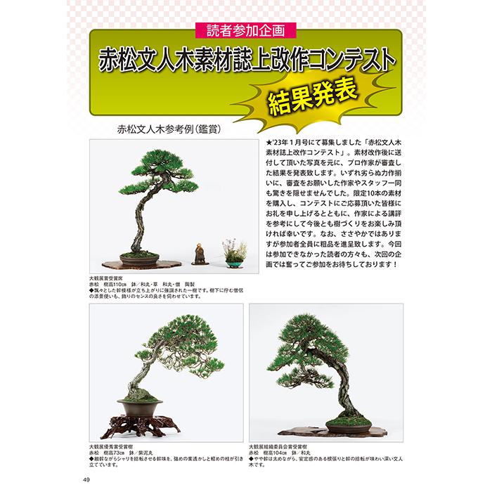 自然と盆栽 バックナンバー 自然と盆栽 バックナンバー 自然と盆栽 バックナンバー 自然と盆栽