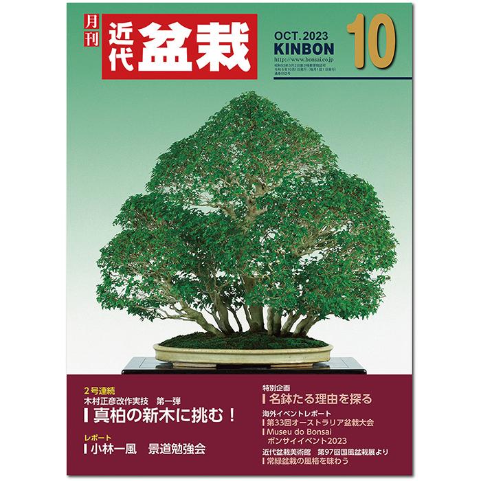 月刊「近代盆栽」2023年10月号 初心者からベテラン愛好家まで