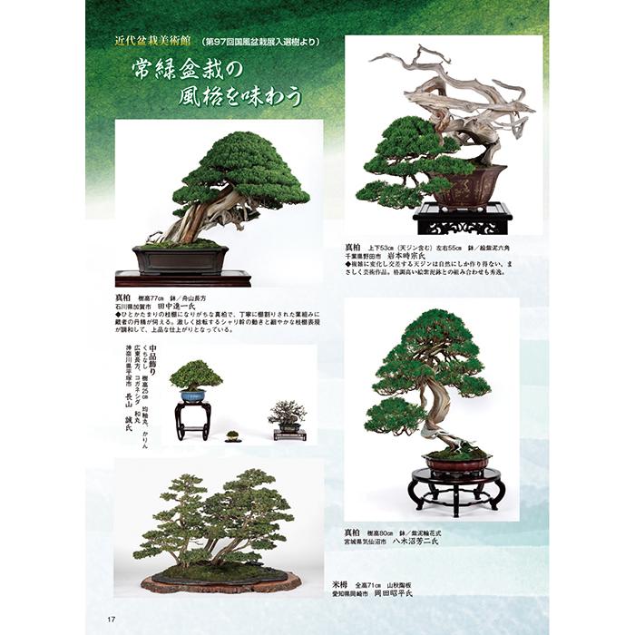月刊「近代盆栽」2023年10月号 初心者からベテラン愛好家まで