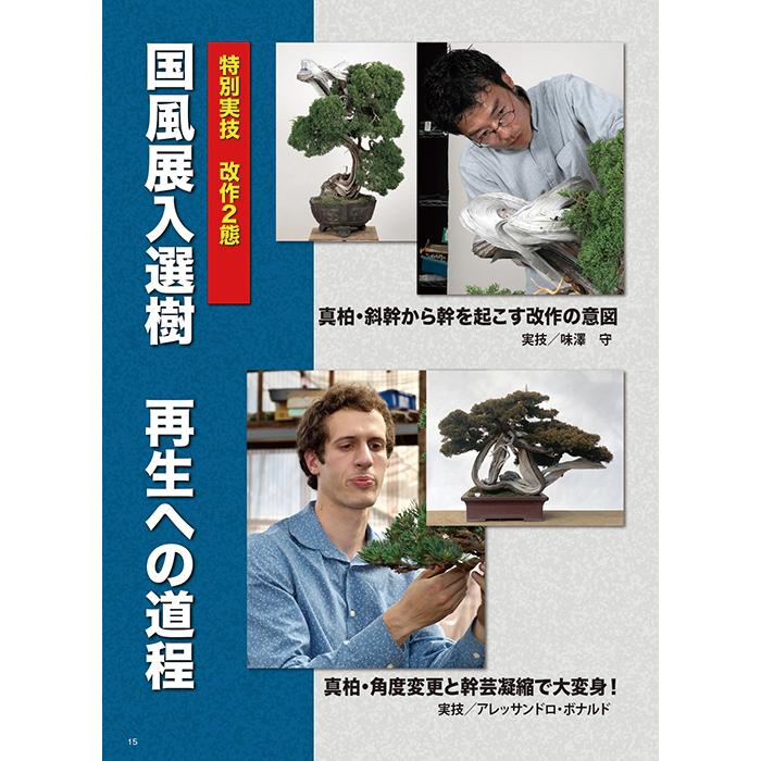 月刊「近代盆栽」2023年12月号 初心者からベテラン愛好家まで
