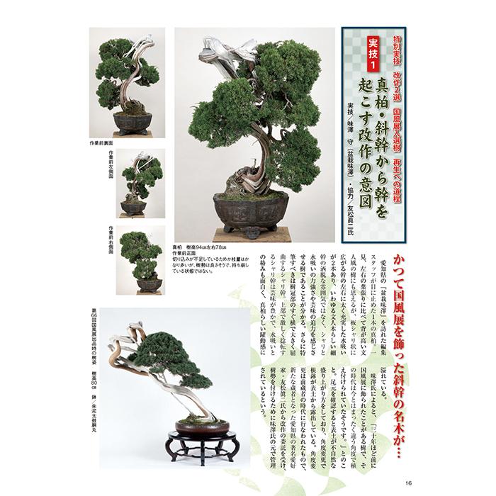 近代盆栽 29冊 KINBON　1994年−2008年 盆栽　園芸　平成　苔玉 月刊「近代盆栽」2023年12月号 初心者からベテラン愛好家まで