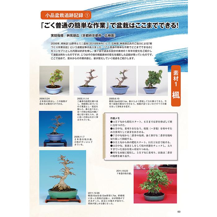 月刊「近代盆栽」2023年12月号 初心者からベテラン愛好家まで