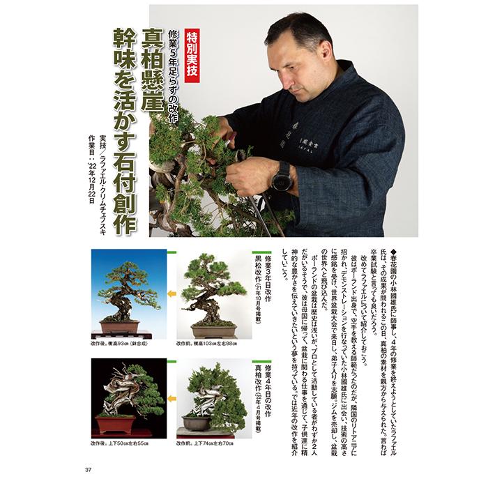 近代盆栽 2015年1月号〜12月号 12冊セット 近代出版 3〜12月号新品 楽天市場】月刊「近代盆栽」2024年1月号 初心者からベテラン