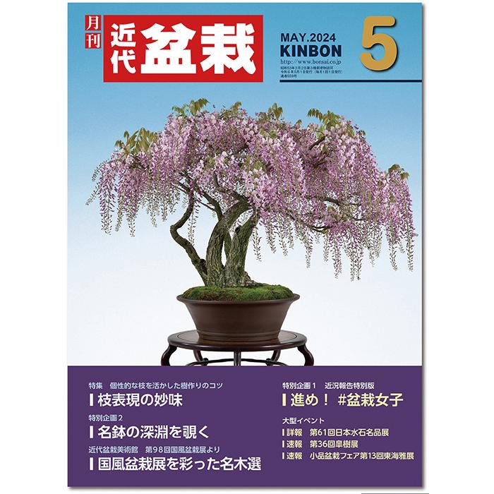 月刊「近代盆栽」2024年5月号 初心者からベテラン愛好家まで
