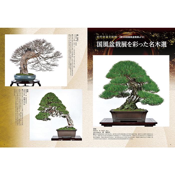 月刊「近代盆栽」2024年5月号 初心者からベテラン愛好家まで