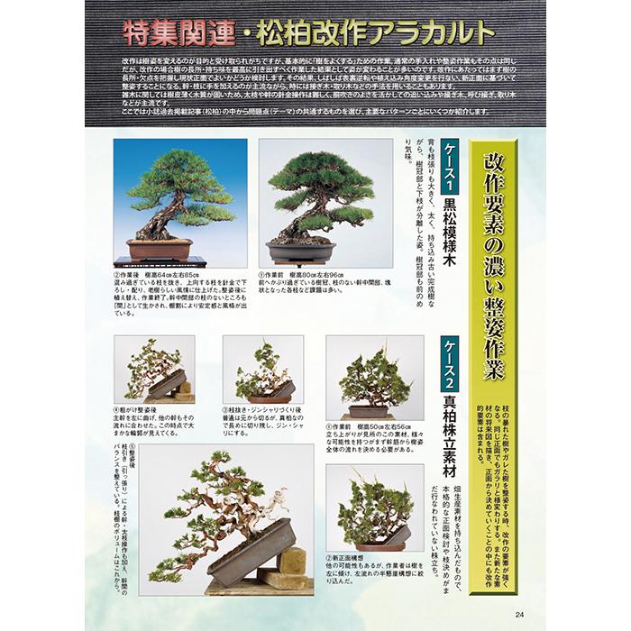 月刊「近代盆栽」2024年5月号 初心者からベテラン愛好家まで