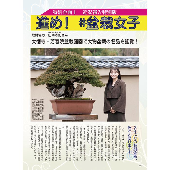 月刊「近代盆栽」2024年5月号 初心者からベテラン愛好家まで