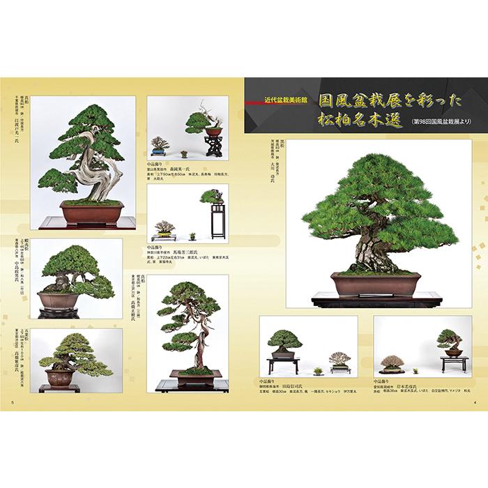 月刊「近代盆栽」2024年9月号 初心者からベテラン愛好家まで、見やすく