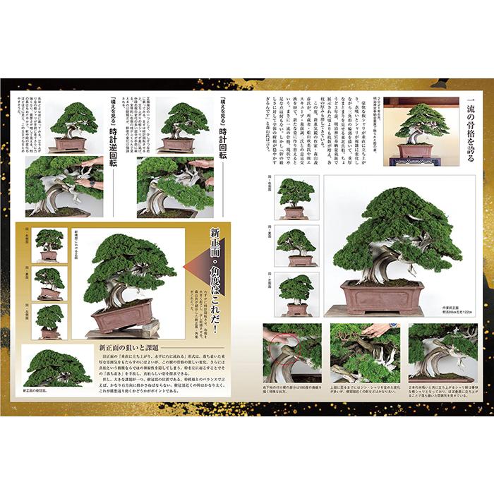 月刊「近代盆栽」2024年9月号 初心者からベテラン愛好家まで、見やすく