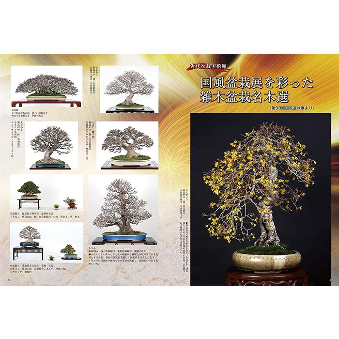 月刊「近代盆栽」2024年11月号 初心者からベテラン愛好家まで