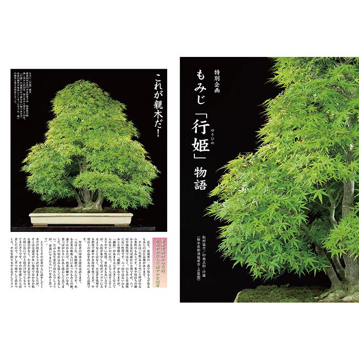 月刊「近代盆栽」2024年11月号 初心者からベテラン愛好家まで