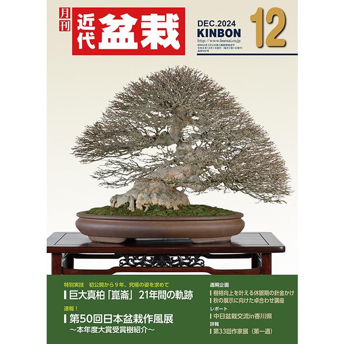 月刊「近代盆栽」2024年12月号 初心者からベテラン愛好家まで