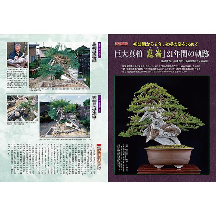 月刊「近代盆栽」2024年12月号 初心者からベテラン愛好家まで