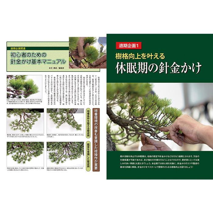月刊「近代盆栽」2024年12月号 初心者からベテラン愛好家まで