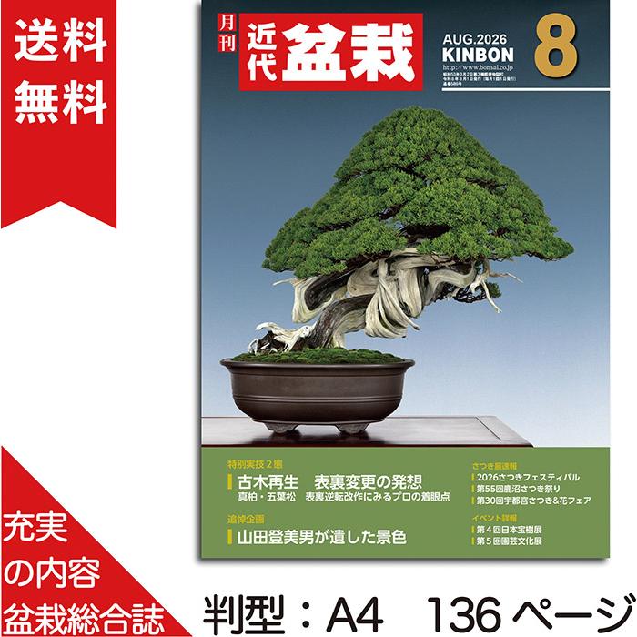 月刊「近代盆栽」2026年8月号 初心者からベテラン愛好家まで、見やすく