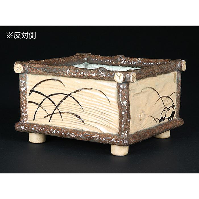盆栽鉢 吉向焼絵付正方鉢 植木鉢 吉向松月窯 吉向窯 5号 14cm 雑木盆栽 中品盆栽に最適の画像