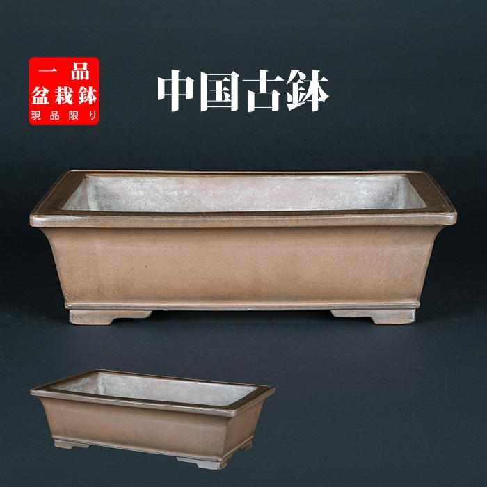 盆栽鉢 紫泥外縁下紐長方鉢 植木鉢 中国鉢 支那鉢 12号 37cm 松柏盆栽