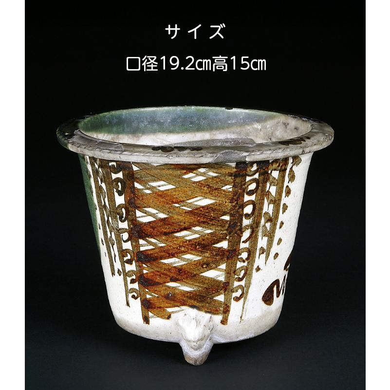 盆栽鉢 楽只亭嘉介織部丸鉢 蘭鉢 京焼 嘉助 らくしていかすけ 6号 19cm