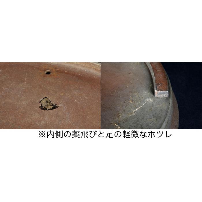 紫泥外縁楕円鉢〔尚古堂印〕 盆栽鉢 鉢 植木鉢 bonsaipot pot 中国鉢 支那鉢 宜興 shidei purple clay 18号 55cm 松柏盆栽 株立 寄せ植え盆栽に最適 現品限りの画像