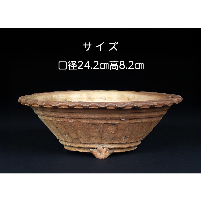盆栽鉢 道八焼締縄縁丸鉢 京焼 華中亭 松風亭 8号 24cm 中品盆栽 草物