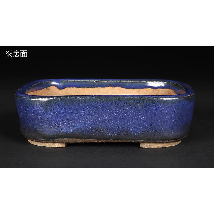 東福寺　長方　盆栽鉢 東福寺瑠璃釉窯変長方鉢 | 盆栽、盆栽書籍、盆栽鉢の通販│近代出版