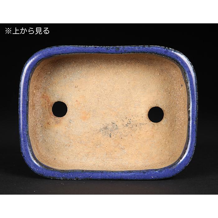 盆栽鉢 植木鉢 「東福寺瑠璃釉撫角長方鉢」 初代 平安東福寺 盆