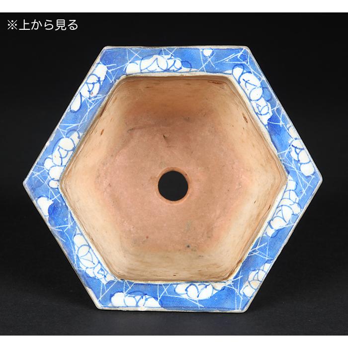 瀬戸染付六角鉢 盆栽鉢 鉢 盆器 蘭鉢 瀬戸物 磁器物 古