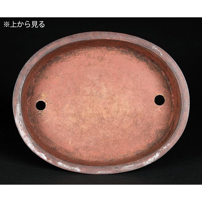 中国古盆器 紫砂 盆栽鉢 紫泥外縁楕円鉢 東寳公造 /蔵出し/唐物/古玩/骨董 中国古盆器 紫砂 盆栽鉢 紫泥外縁楕円鉢 東寳公造 /蔵出し/唐物