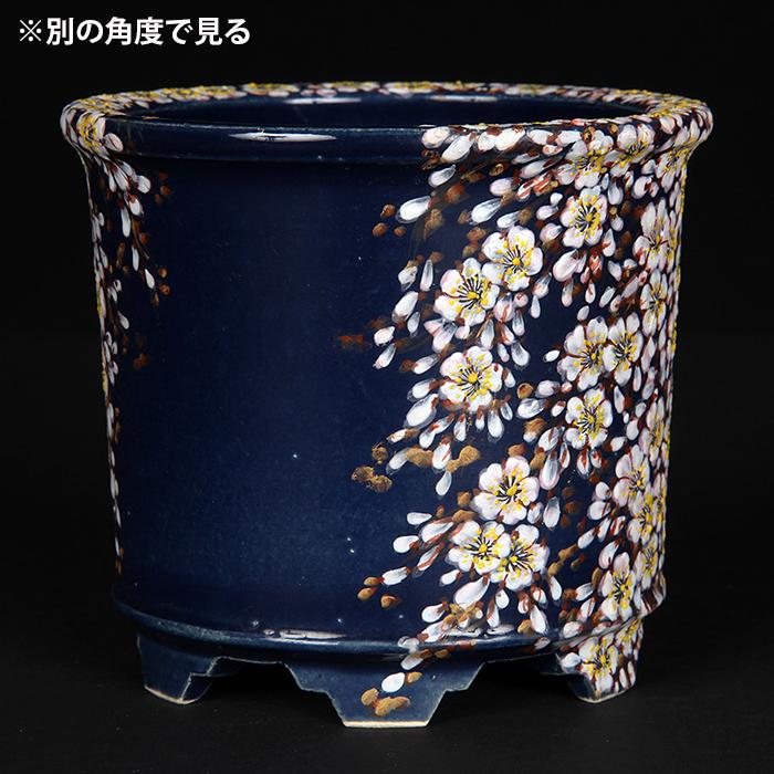 六代渋草柳造浮絵桜図丸鉢 盆栽鉢 鉢 植木鉢 盆器 作家鉢 bonsaipot