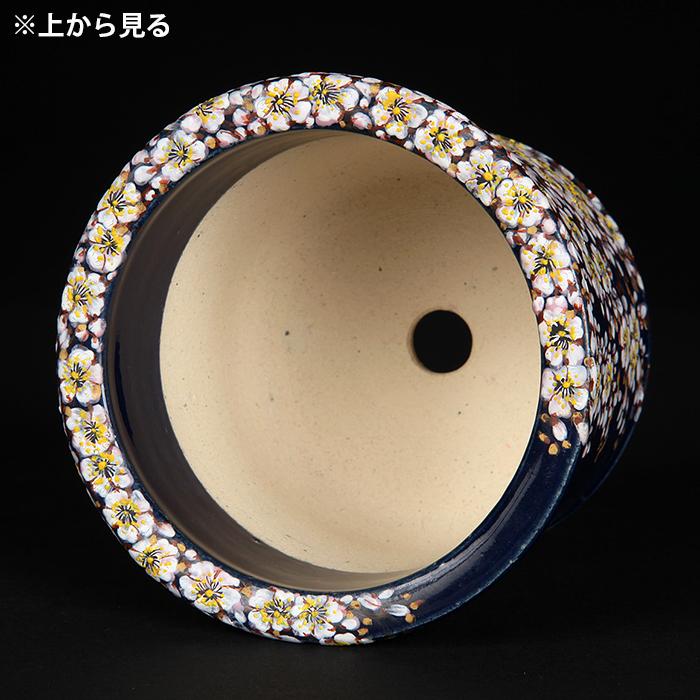 六代渋草柳造浮絵桜図丸鉢 盆栽鉢 鉢 植木鉢 盆器 作家鉢 bonsaipot