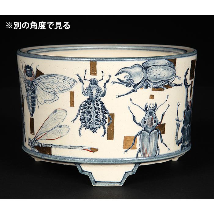 七代渋草柳造染付昆虫図丸鉢 盆栽鉢 鉢 植木鉢 盆器 作家鉢 bonsaipot