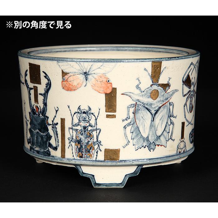七代渋草柳造染付昆虫図丸鉢 盆栽鉢 鉢 植木鉢 盆器 作家鉢 bonsaipot