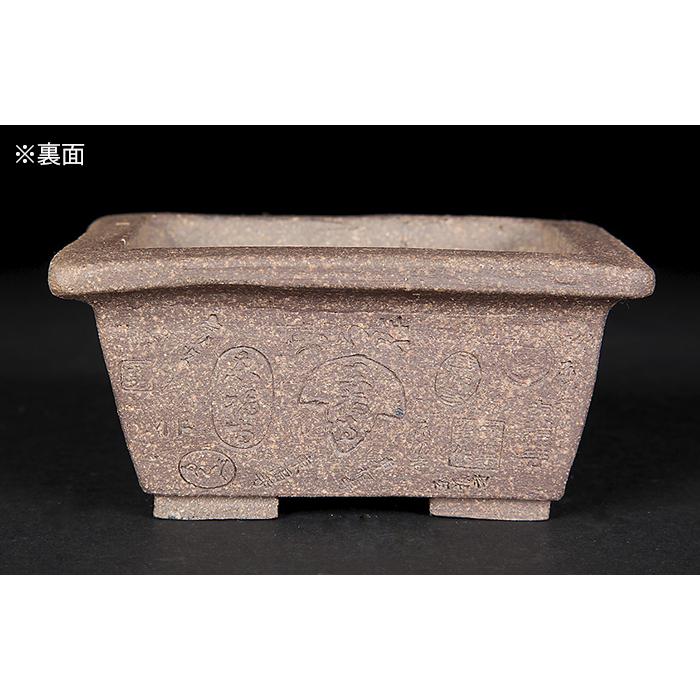 二代東福寺長方鉢 盆栽鉢 鉢 植木鉢 盆器 作家鉢 平安東福寺 勇