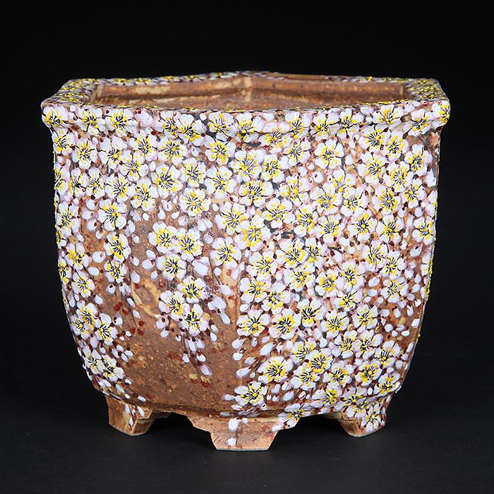 六代渋草柳造浮絵桜図六角鉢 盆栽鉢 鉢 植木鉢 盆器 作家鉢 bonsaipot