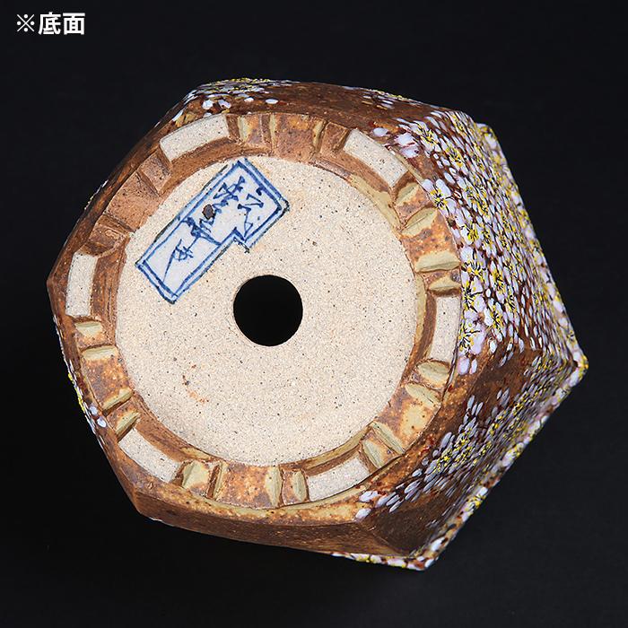 六代渋草柳造浮絵桜図六角鉢 盆栽鉢 鉢 植木鉢 盆器 作家鉢 bonsaipot