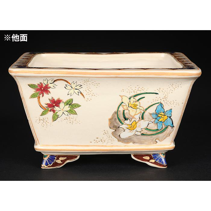 美豊　日本小品盆栽名品展出品記念ミニ盆栽鉢青竹絵付け他貫入白長方ミニ鉢白鉢セット 美豊 日本小品盆栽名品展出品記念ミニ盆栽鉢青竹絵付け他貫入