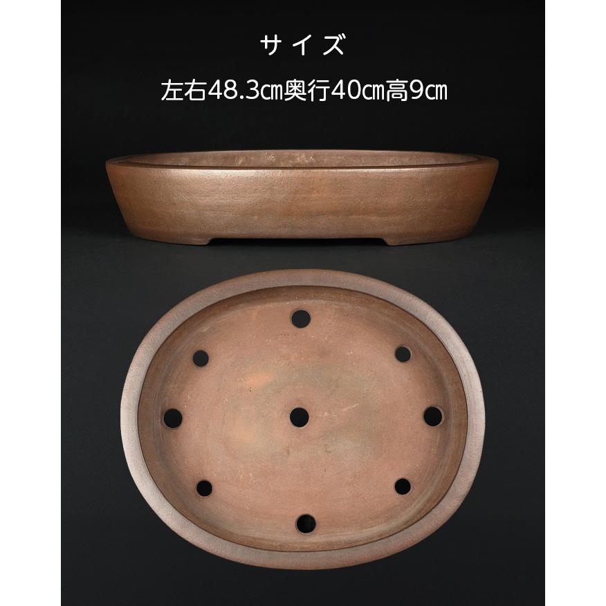 陶器製楕円形盆栽鉢 ブラウン 約45cm ×29cm×3.5cm薄型　落款　積徳 楽天市場】盆栽鉢 紫泥外縁胴紐楕円鉢 植木鉢 中国鉢 張氏製陶 落款