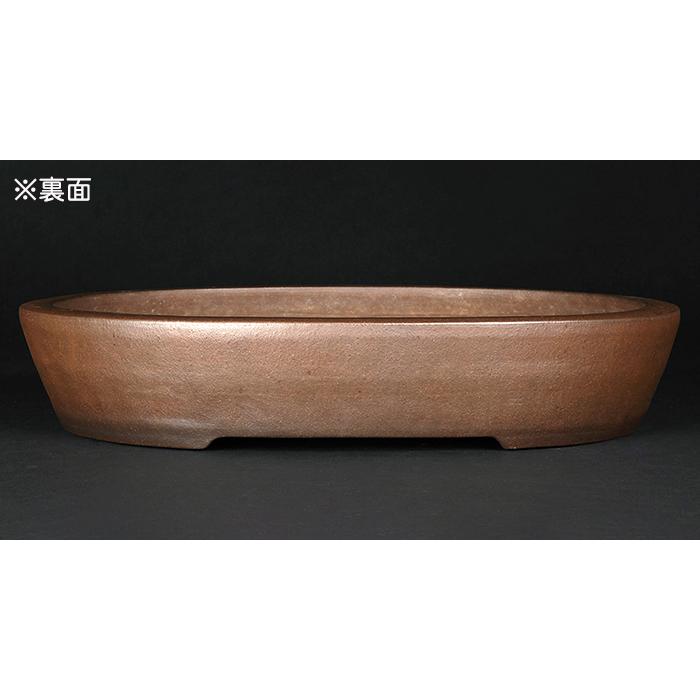行山　盆栽鉢 盆栽鉢 行山切立楕円鉢 常滑 手造り 釘彫り落款 16号 48cm 松柏 大物