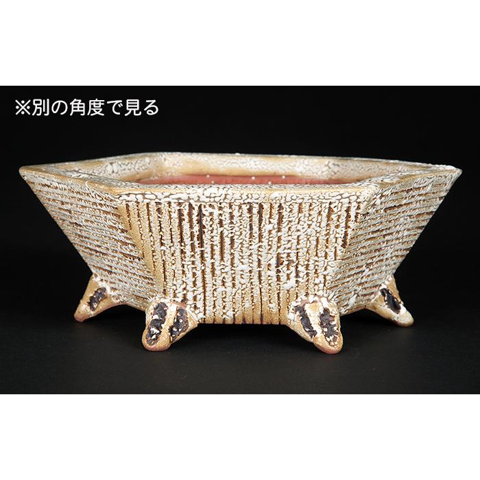 盆栽鉢 「憲窯白釉六角鉢」 植木鉢 辻憲昌 ケンヨウ 色鉢 陶器