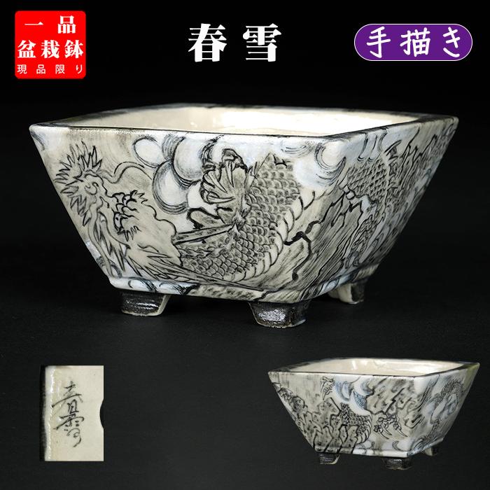 盆栽鉢 「春雪墨絵龍図正方鉢」 植木鉢 絵付 シュンセツ 磁器 3