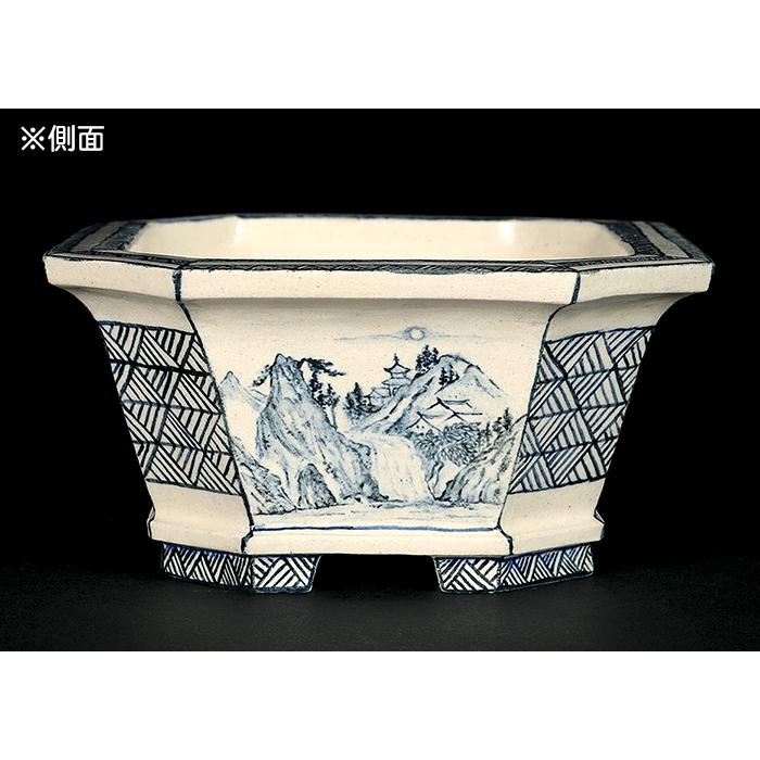 盆栽鉢 「高山染付山水図長方鉢」 植木鉢 絵付鉢 作家鉢 磁器 呉須 5号