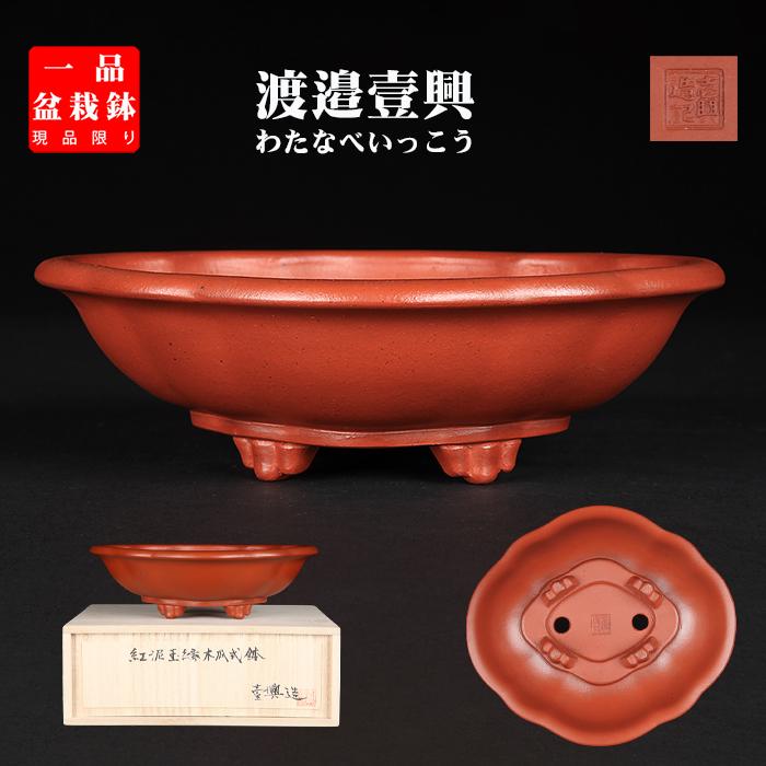 盆栽鉢 「壱興紅泥木瓜式鉢」 植木鉢 作家鉢 一弘 壱興造記 常滑 盆栽鉢 「壱興紅泥木瓜式鉢」 植木鉢 作家鉢 一弘 壱興造記 常滑