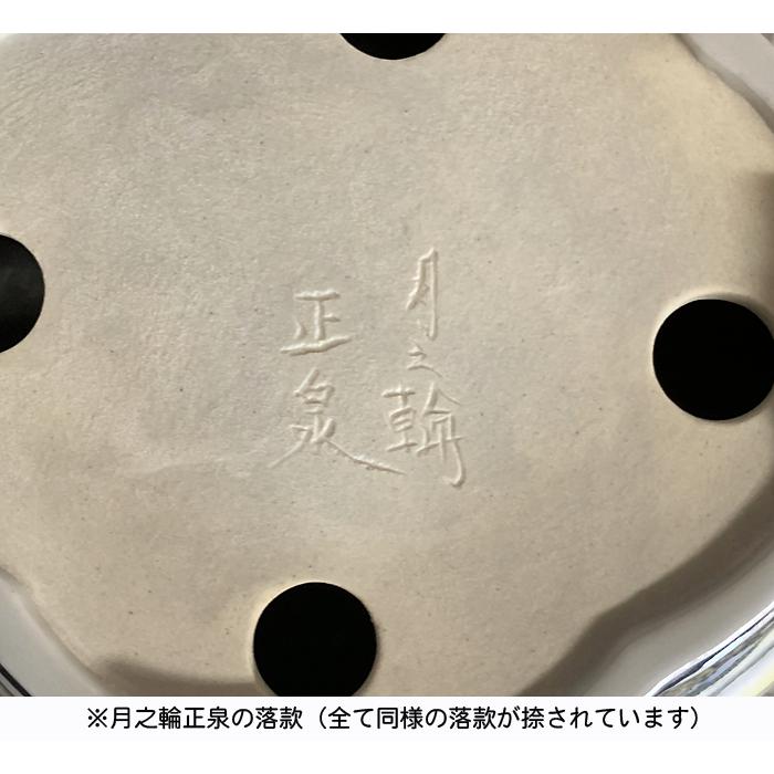 盆栽鉢 月之輪正泉五彩訪友図輪花縁六角鉢 絵付鉢 色絵 京焼 清水焼 8