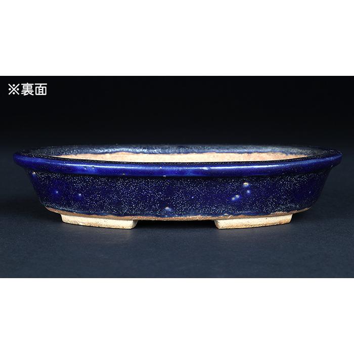 東福寺 ミニ盆栽鉢 るり色 東福寺 ミニ盆栽鉢 るり色 東福寺ミニ盆栽鉢