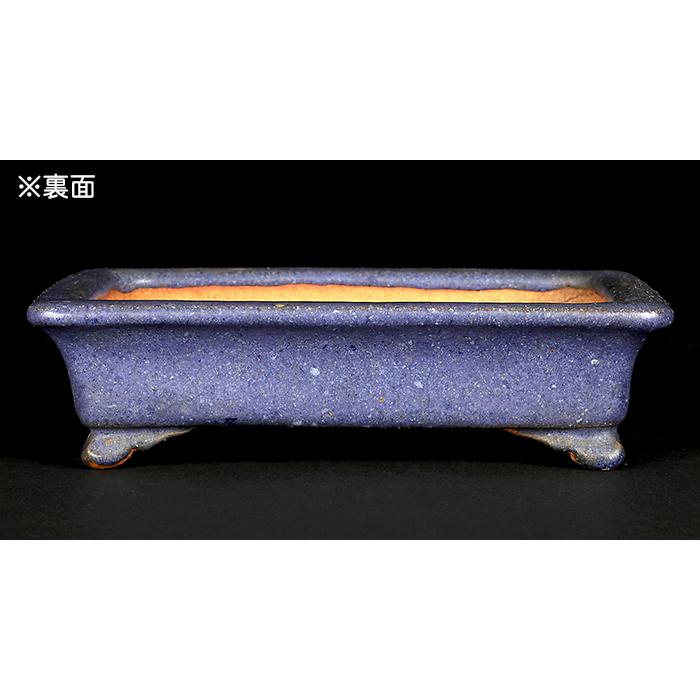 盆栽鉢 「東福寺瑠璃釉窯変長方鉢」 植木鉢 初代 平安東福寺 盆栽鉢 「東福寺瑠璃釉窯変長方鉢」 植木鉢 初代 平安東福寺