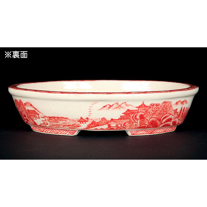 盆栽鉢 「紀伊赤絵山水図楕円鉢」 植木鉢 絵付鉢 作家鉢 磁器 共 盆栽鉢 「紀伊赤絵山水図楕円鉢」 植木鉢 絵付鉢 作家鉢 磁器 共